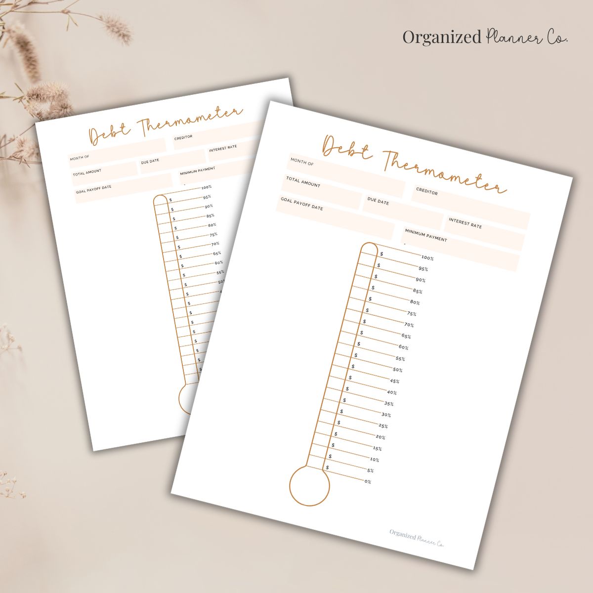 Printable Debt Thermometer (FREE)